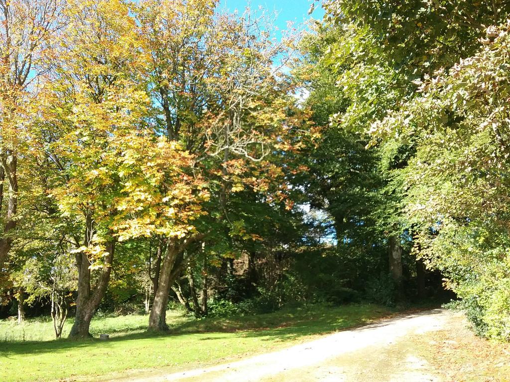 Willowfarmhouse Milford Eksteriør billede